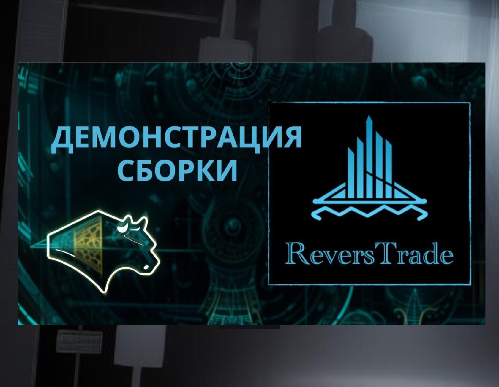 Демонстрация сборки ReversTrade